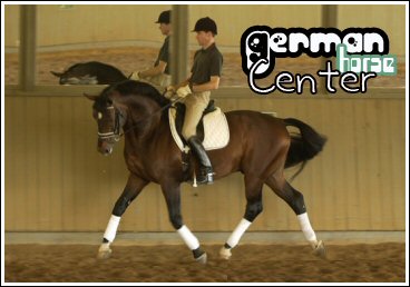 //germanhorsecenter.gportal.hu/portal/germanhorsecenter/image/gallery/1261501574_41.jpg